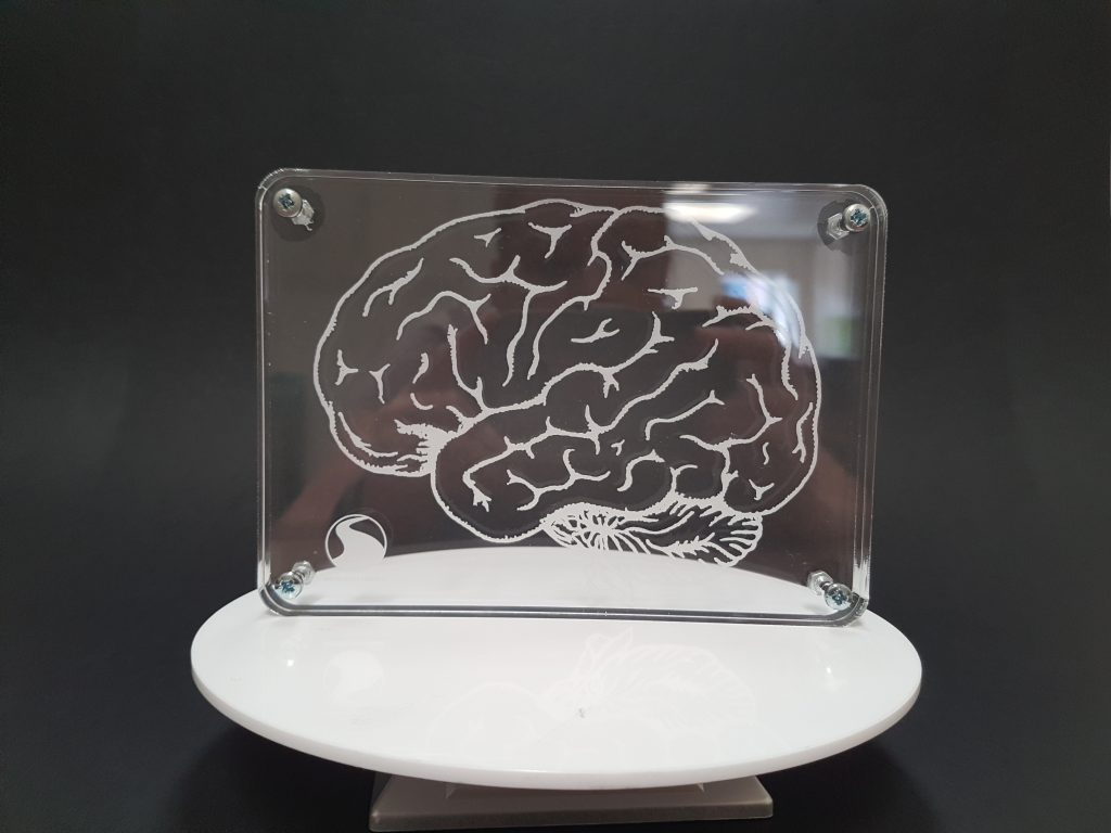 Acrylic Engraved Brain